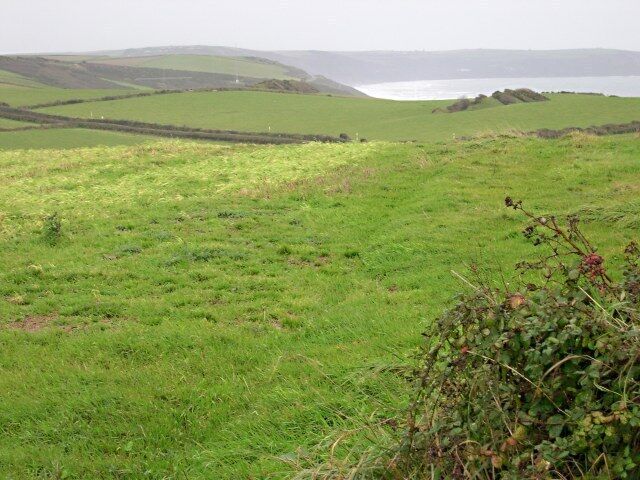 Coastal Pastures It is a typically damp November day on the farmland above Whitsand Bay. The coast road is marked by the double hedge line.