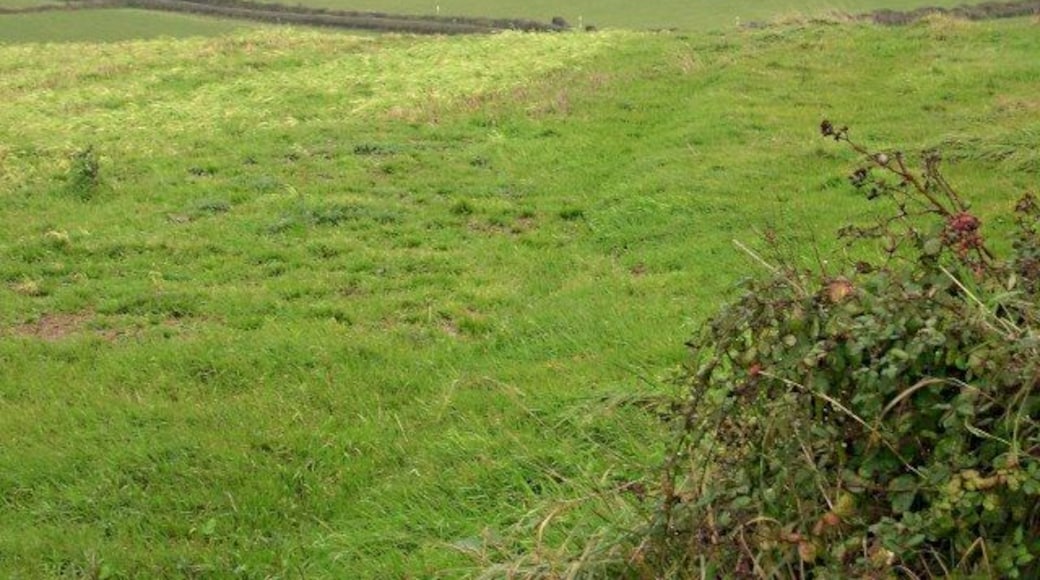 Coastal Pastures It is a typically damp November day on the farmland above Whitsand Bay. The coast road is marked by the double hedge line.