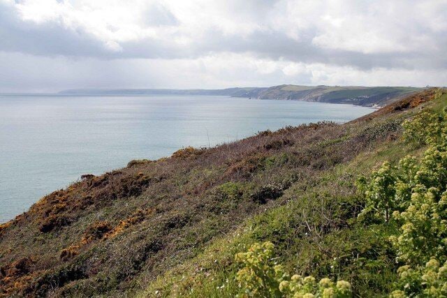 A coastal landscape with a grassy hillside, a body of water, and distant hills.