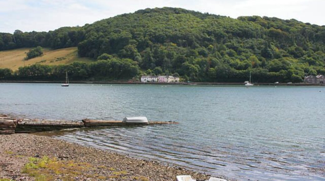 Millbrook Lake. The next tidal lake on the Tamar estuary, south east of 224153. Weir Cottages straight ahead with Clarrick Wood behinds. This photograph was taken from the shore at the end of Silver Terrace just west of the 36892.