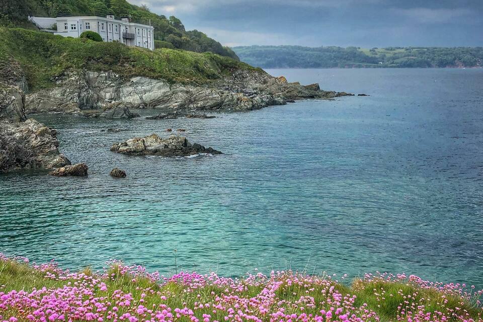 A coastal landscape with a white building on a grassy hill, a rocky shoreline, and a field of pink flowers in the foreground.