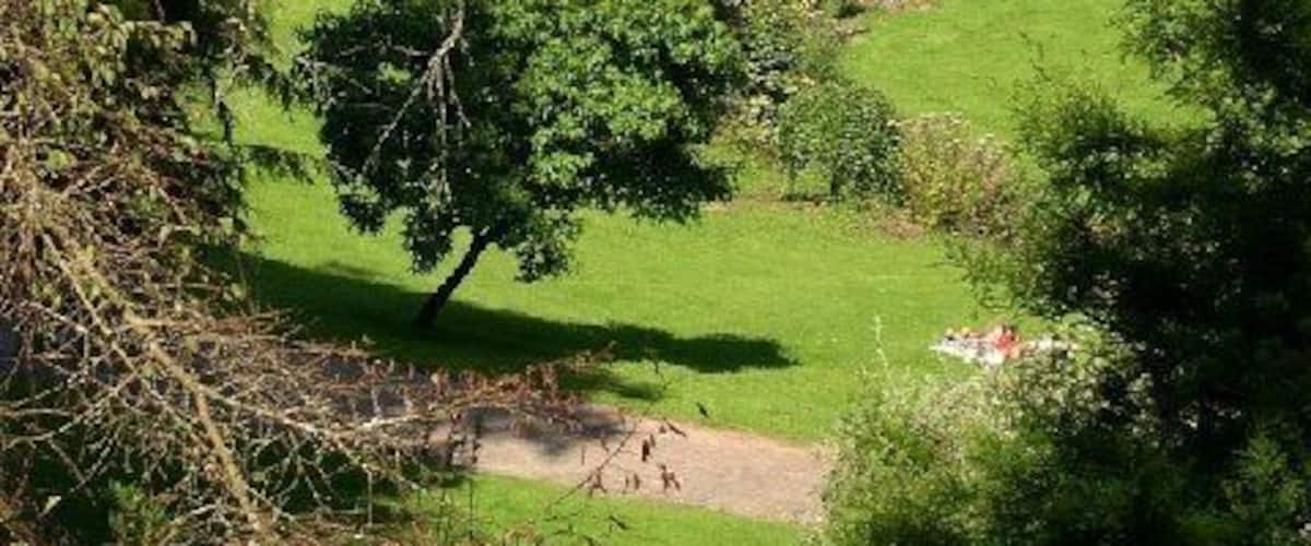 The Amphitheatre, Mount Edgcumbe Country Park. A steep coombe facing Plymouth Sound, heavily wooded on its sides with lawns and ponds in the bottom. A very relaxing place.