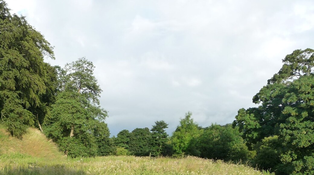 Laneshaw River in Laneshawbridge