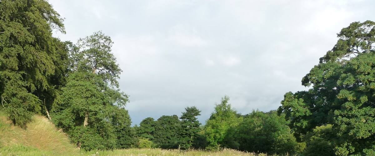 A grassy field with a concrete barrier and a stream.