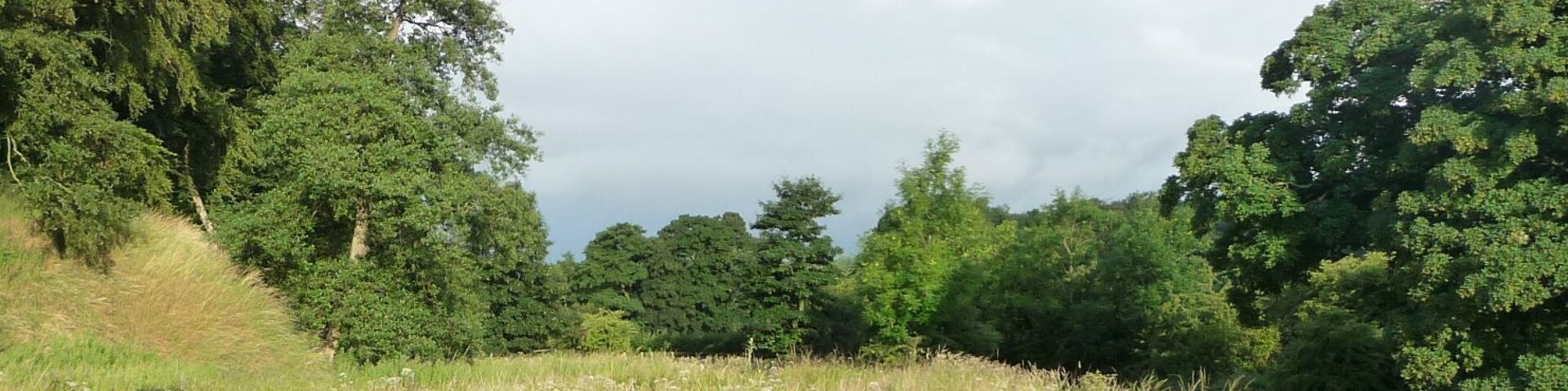A grassy field with a concrete barrier and a stream.