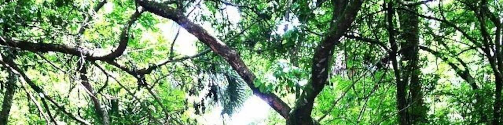 The beginning of the hiking trail. It's gets a lot more "woodsy" the further you go down the trail. Ticks and mosquitoes abound. I would recommend visiting this park in the winter months to avoid the blood sucking critters. #takeahike