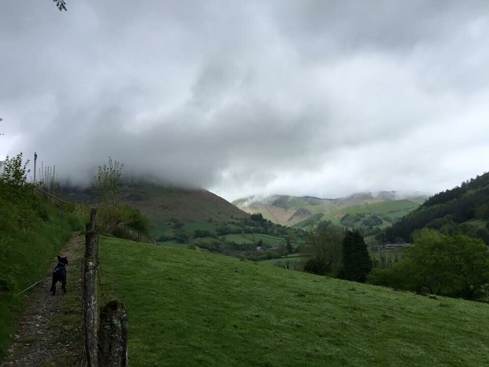 The low clouds on the hills