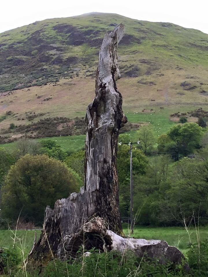 The Common at Dinas Mawddwy. #GreatOutdoors #TroveOnTuesday