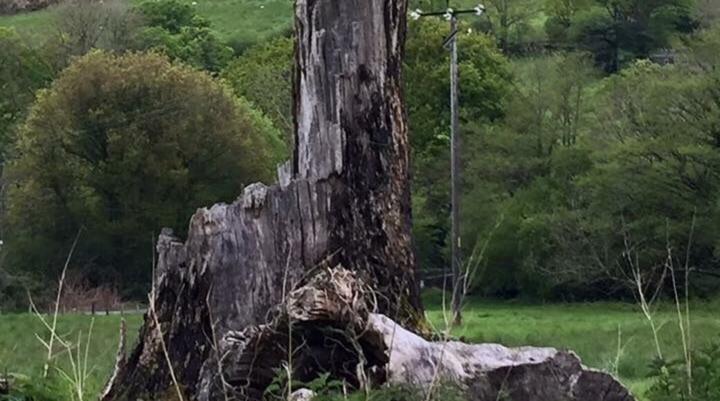 The Common at Dinas Mawddwy. #GreatOutdoors #TroveOnTuesday