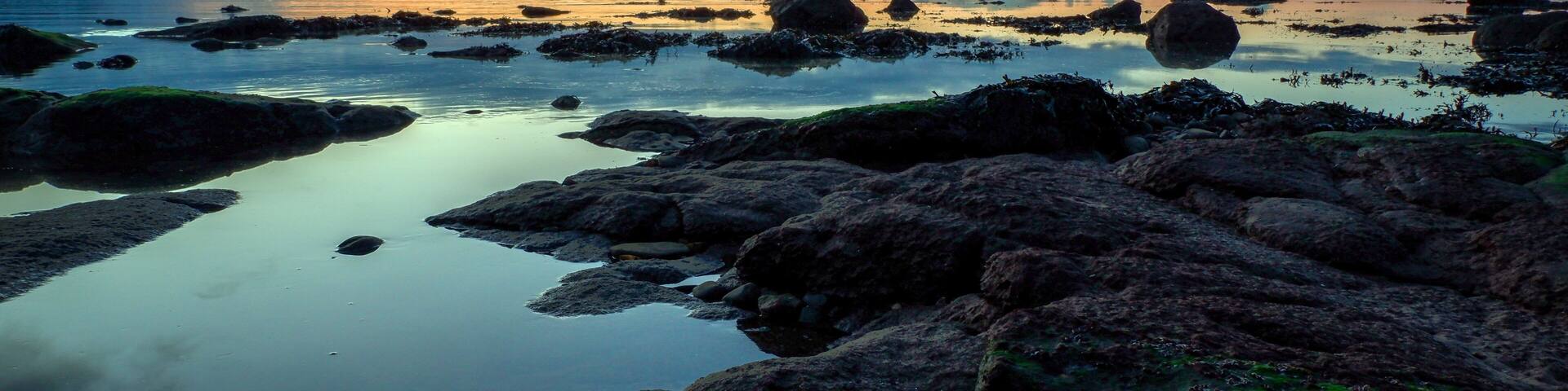 Rocky covered beach, West Kilbride, North Ayrshire, Scotland, UK