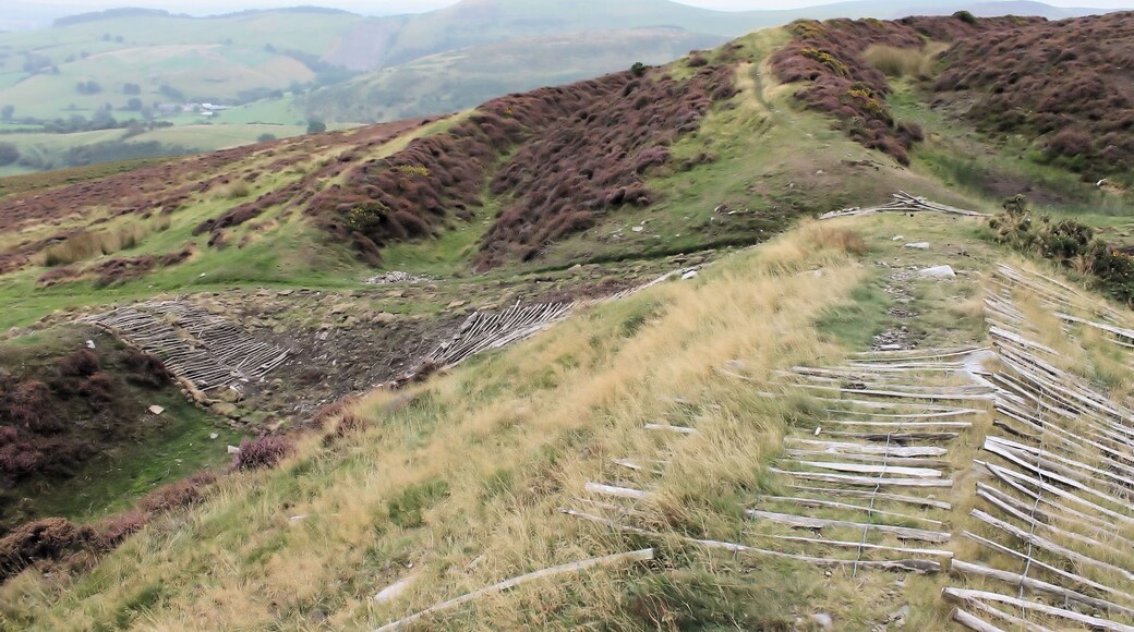 An archaeological dig can be seen in this (eastern) part of the hillfort of Penycloddiau, Clwydian Hills, North Wales; looking south. Penycloddiau is one of the largest hillforts in Wales, Penycloddiau is 21 hectares in area with its surrounding defneding ditches nearly 2 km in length.