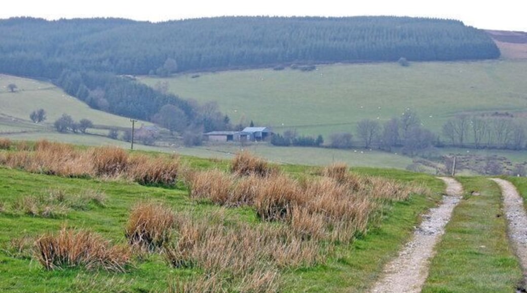 Paisaje rural con un sendero de tierra, campos verdes ondulantes y una colina distante con un edificio.