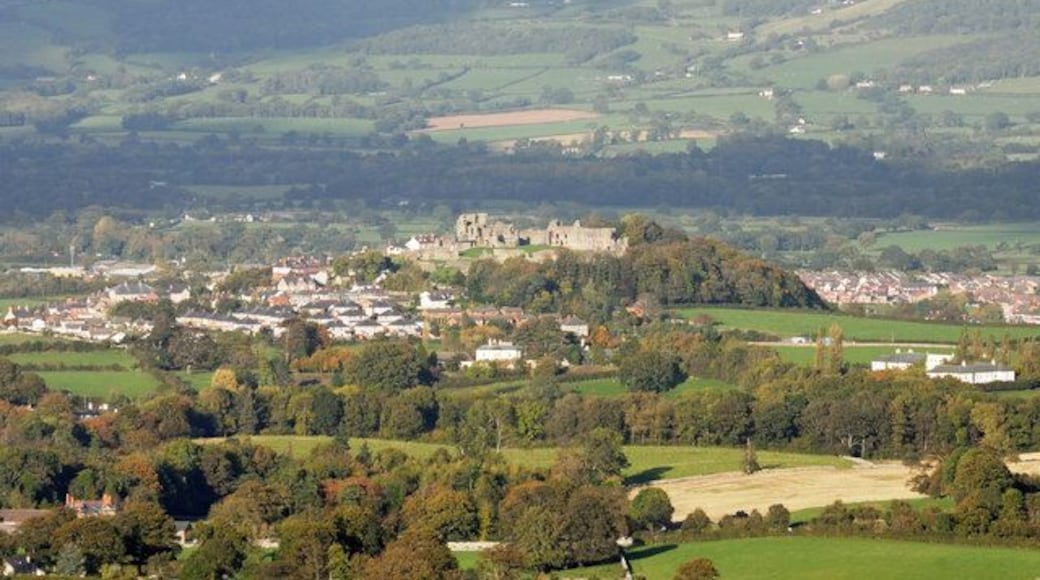 Un pueblo situado en un valle, con un castillo destacado en una colina, rodeado de campos verdes y árboles.
