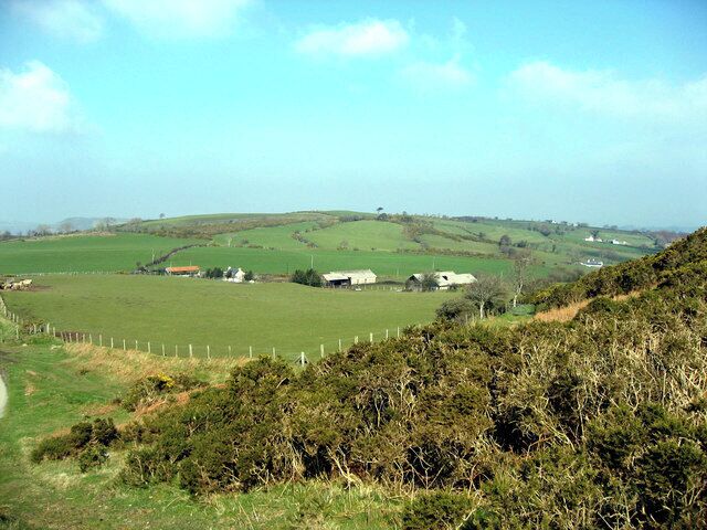Cefn gwlad
