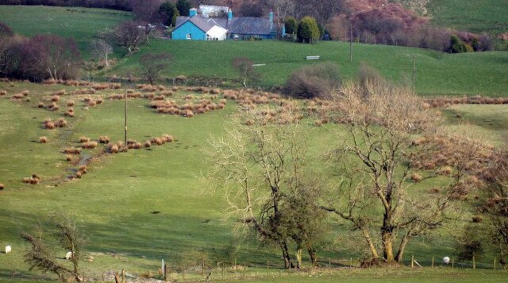 Un paisaje rural con colinas onduladas, una casa azul y árboles dispersos.