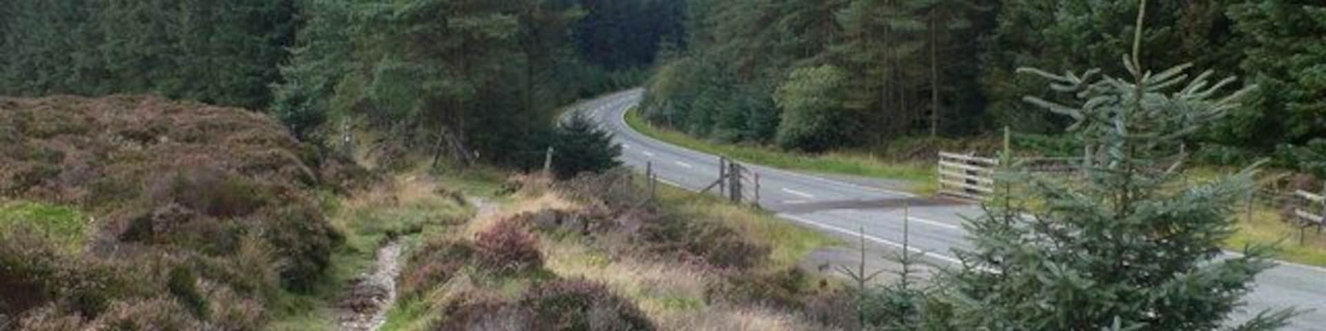 Footpath and road The footpath round Llyn Brenig, close to the B4501