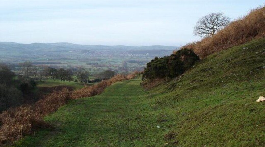 Offa's Dyke Footpath Fron-haul. The long distance path as it winds around Fron-haul heading to Bodfari