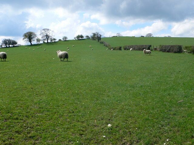Mynydd y Gaer Eastern side of the hill, which is between Llanfair Talhairarn and Llanefydd.