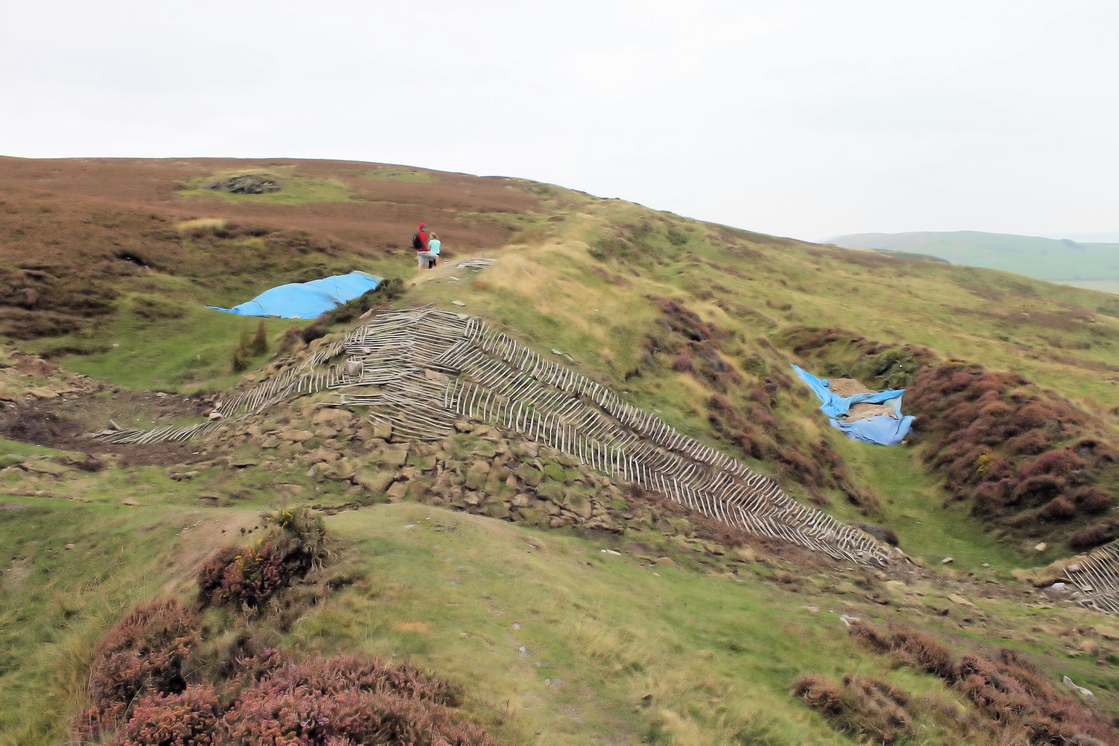 An archaeological dig can be seen in this (eastern) part of the hillfort of Penycloddiau, Clwydian Hills, North Wales; looking north-east. Penycloddiau is one of the largest hillforts in Wales, Penycloddiau is 21 hectares in area with its surrounding defneding ditches nearly 2 km in length.