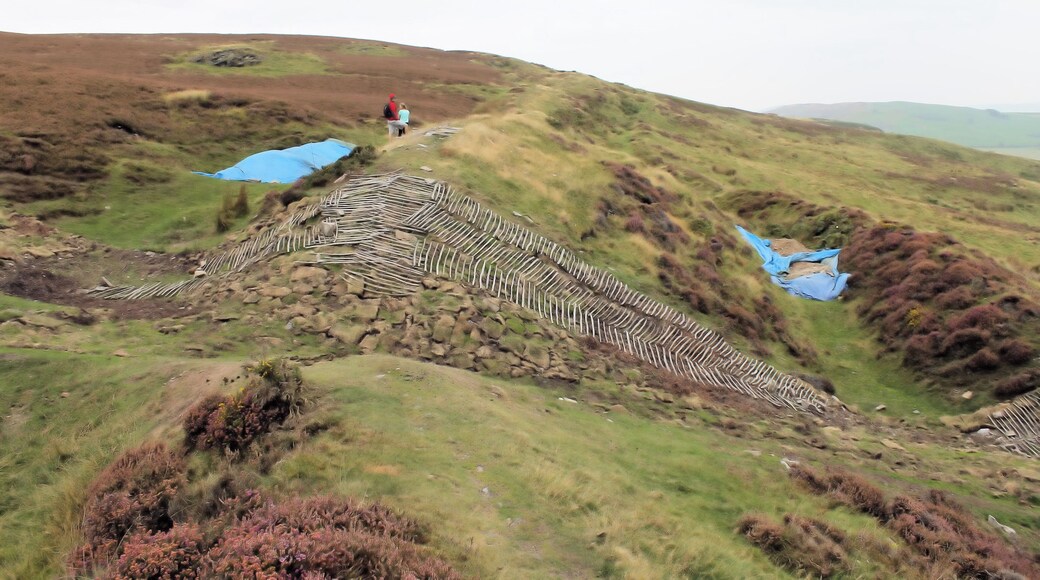 An archaeological dig can be seen in this (eastern) part of the hillfort of Penycloddiau, Clwydian Hills, North Wales; looking north-east. Penycloddiau is one of the largest hillforts in Wales, Penycloddiau is 21 hectares in area with its surrounding defneding ditches nearly 2 km in length.