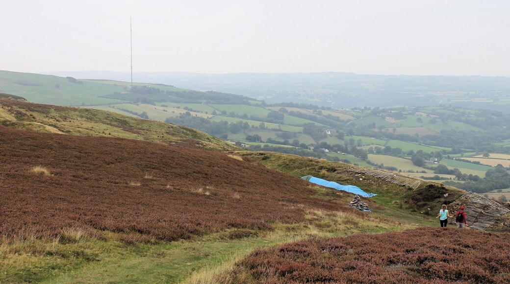 An archaeological dig can be seen in this (eastern) part of the hillfort of Penycloddiau, Clwydian Hills, North Wales; looking east. Penycloddiau is one of the largest hillforts in Wales, Penycloddiau is 21 hectares in area with its surrounding defneding ditches nearly 2 km in length.
