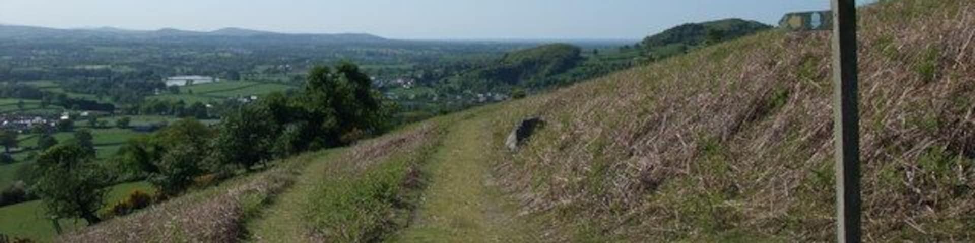 Footpath junction on the slopes of Moel y Parc With the Offa's Dyke Path (left finger) heading towards Bodfari