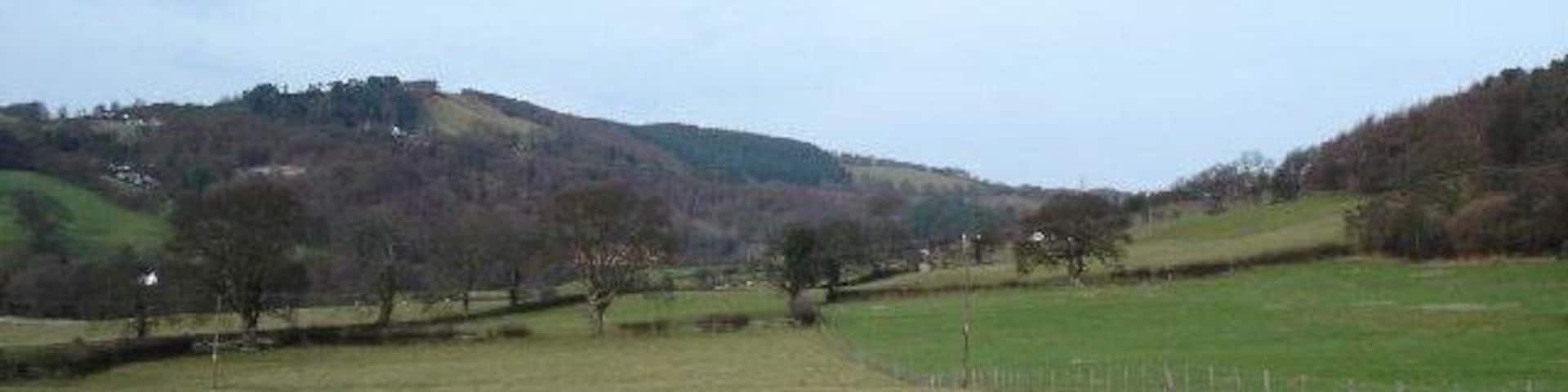 A rural landscape with rolling hills, a fence line, and sparse trees.