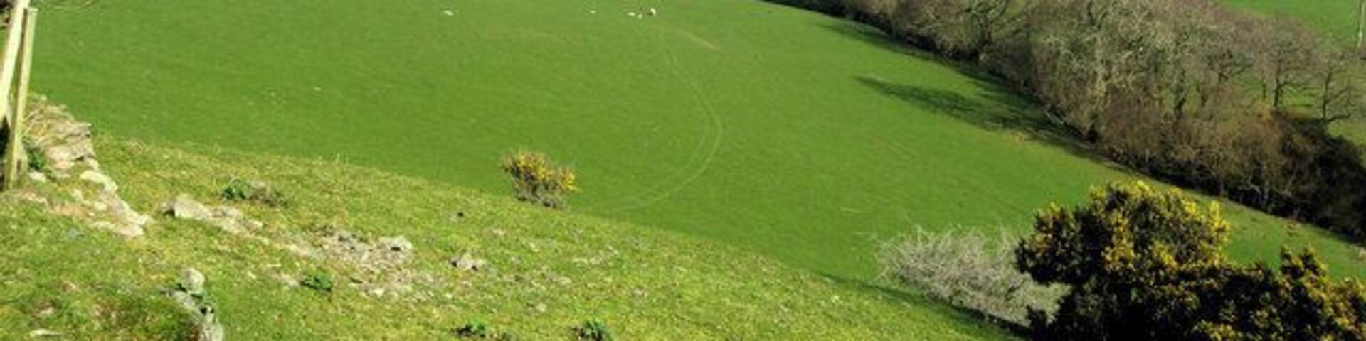 Ger Plas Cwtta Edrych i gyfeiriad cronfa Dolwen. looking towards Dolwen Reservoir.