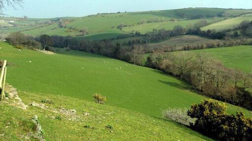 Ger Plas Cwtta Edrych i gyfeiriad cronfa Dolwen. looking towards Dolwen Reservoir.