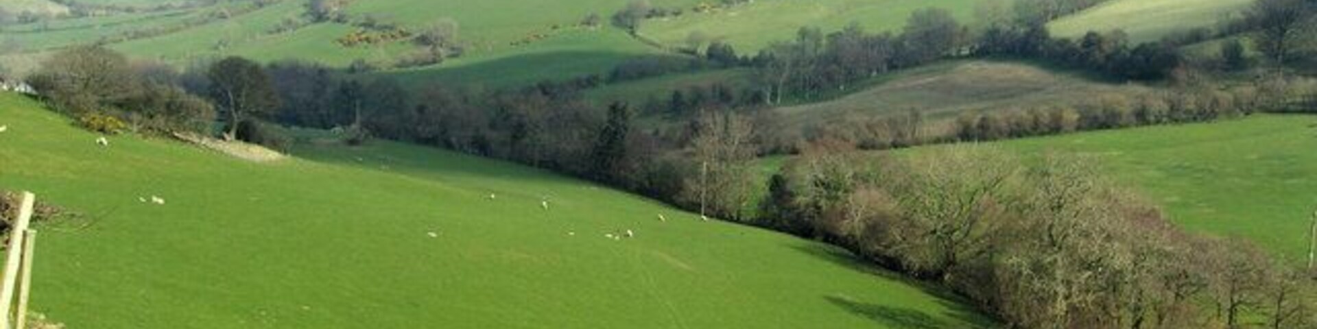 Ger Plas Cwtta Edrych i gyfeiriad cronfa Dolwen. looking towards Dolwen Reservoir.