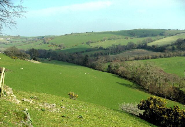 Rolling green hills, a stone wall, and scattered sheep.