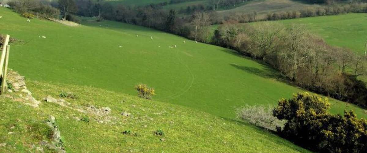 Rolling green hills, a stone wall, and scattered sheep.