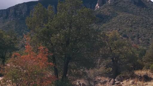 Carr Canyon. Beautiful hike. Pet friendly. Waterfall at the top. Be prepared to get wet in March!!! Lol