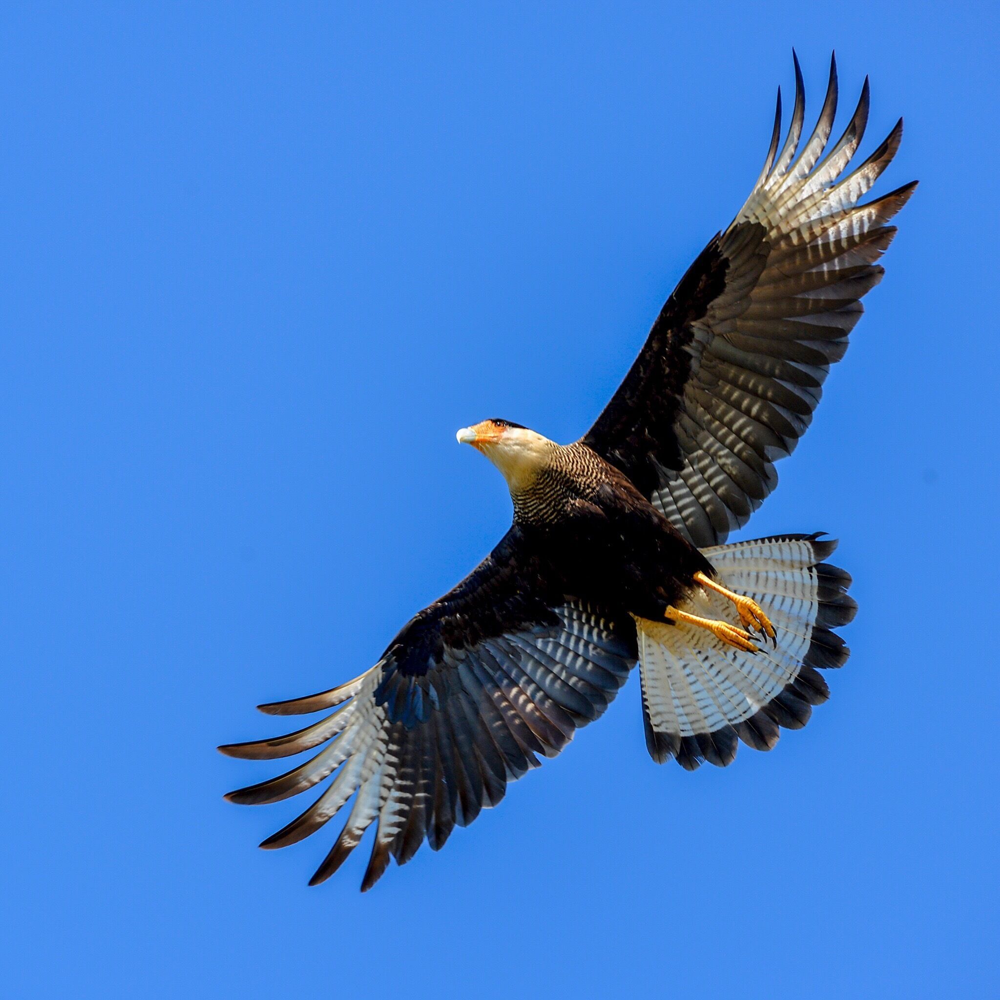 Beautiful beach, great food. Kitesurfe point. 