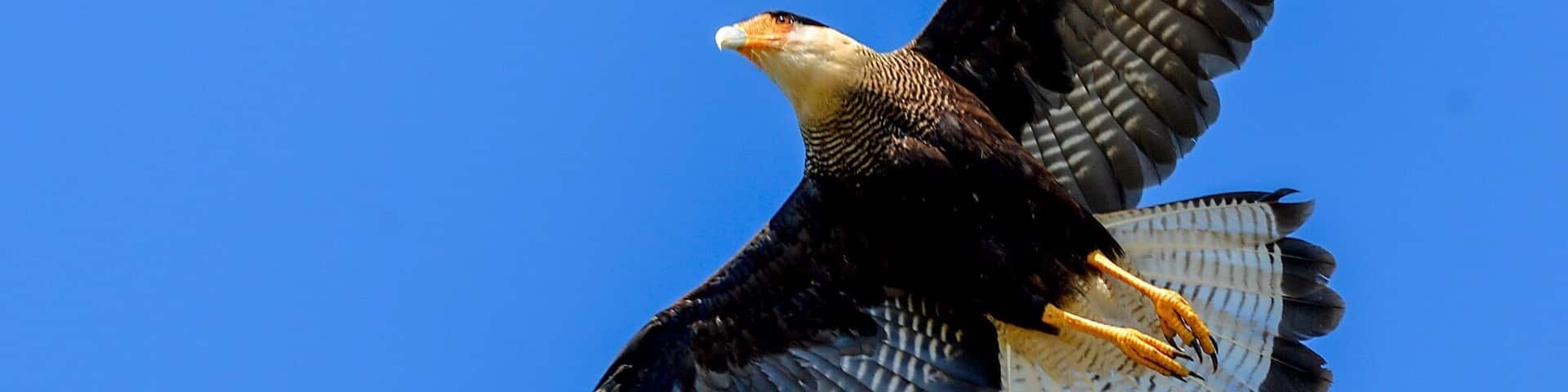 Beautiful beach, great food. Kitesurfe point.