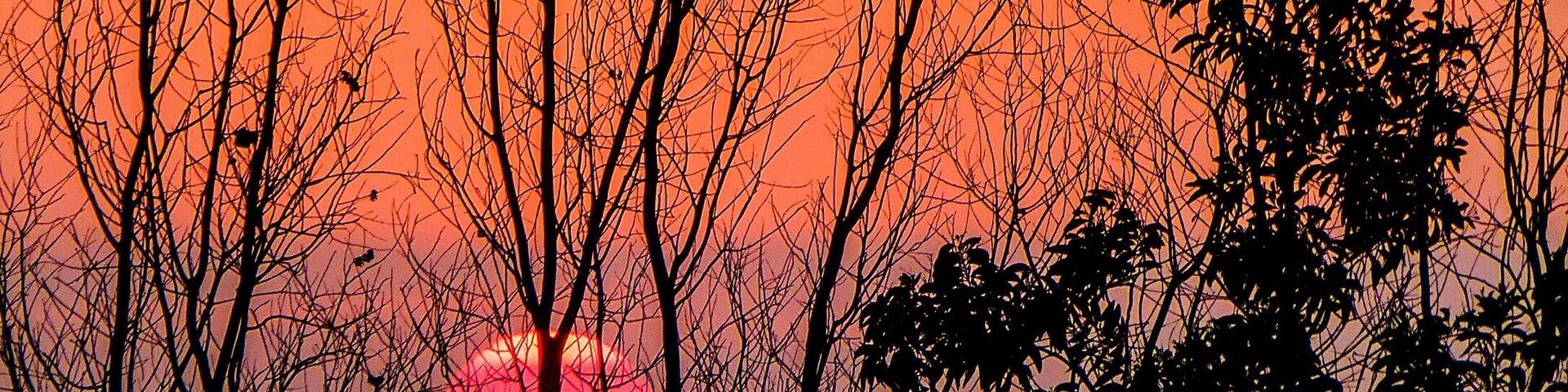 Sunset in my backyard