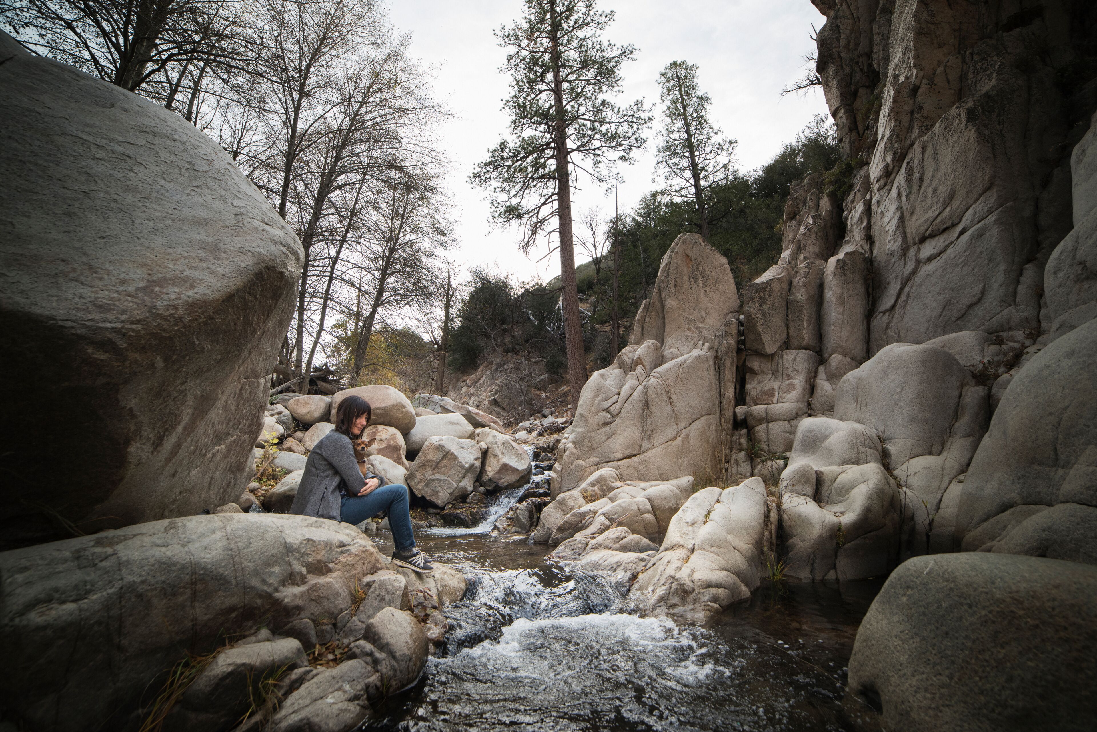 Woman and dog sitting by river, Lake Arrowhead, California, USA