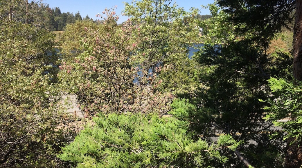 This is the beautiful sight I see from my deck!