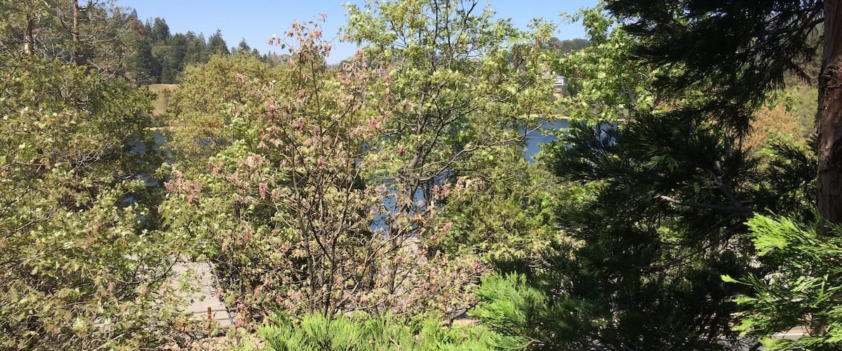 This is the beautiful sight I see from my deck!