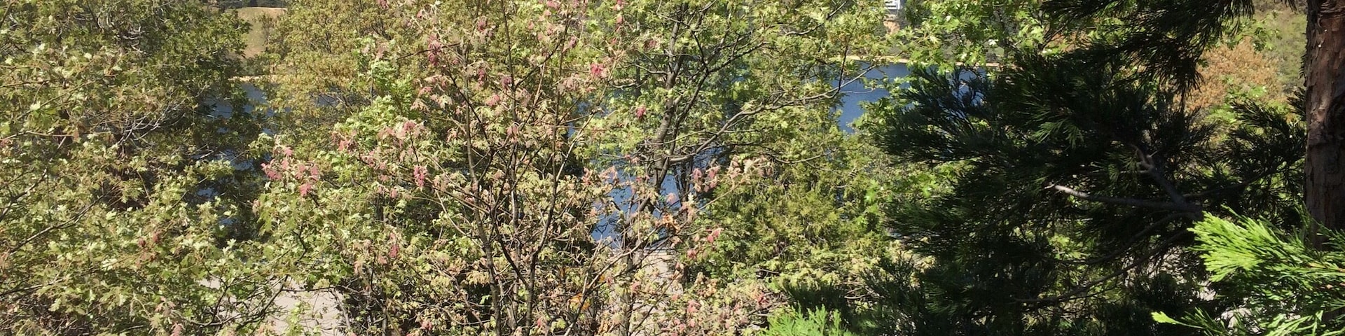 This is the beautiful sight I see from my deck!