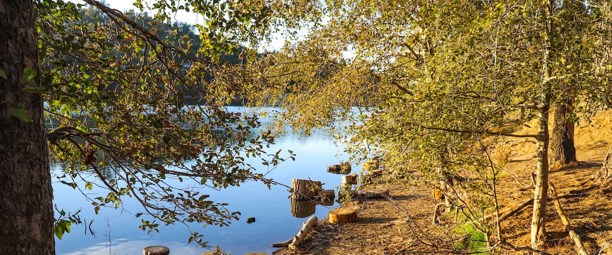 circular cuts of wood along the banks of the lake with vast still blue lake water and lush green and autumn colored trees reflecting off the lake at Lake Gregory in Crestline California