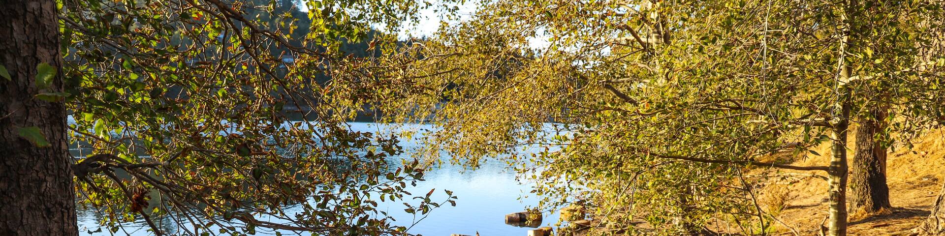 circular cuts of wood along the banks of the lake with vast still blue lake water and lush green and autumn colored trees reflecting off the lake at Lake Gregory in Crestline California