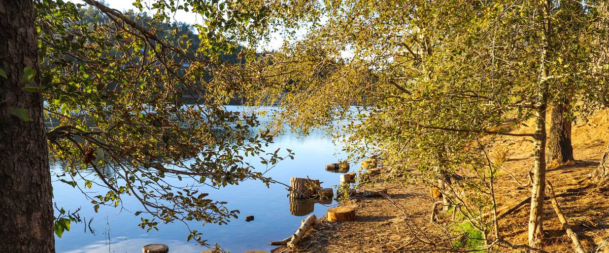 circular cuts of wood along the banks of the lake with vast still blue lake water and lush green and autumn colored trees reflecting off the lake at Lake Gregory in Crestline California