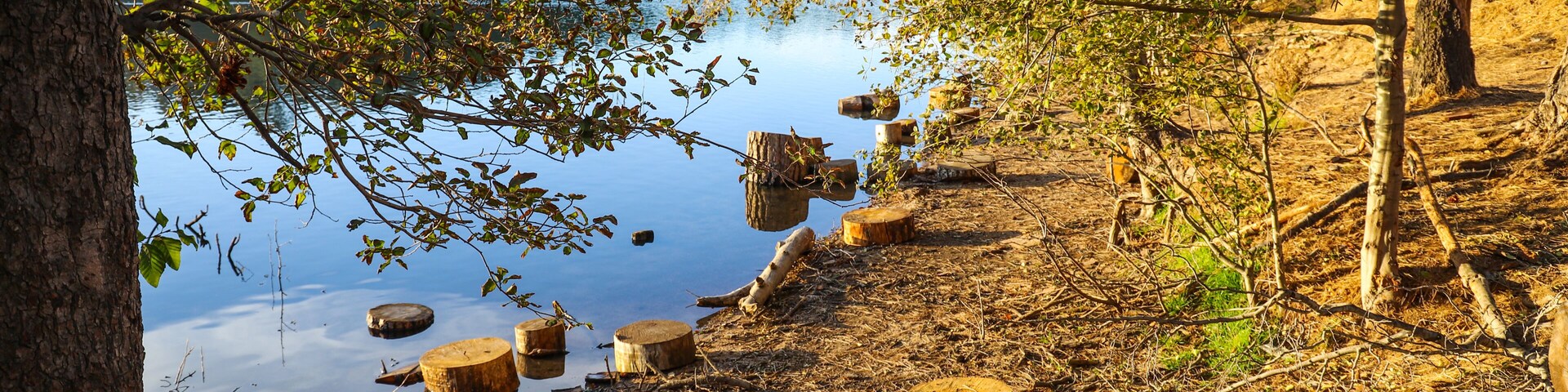 circular cuts of wood along the banks of the lake with vast still blue lake water and lush green and autumn colored trees reflecting off the lake at Lake Gregory in Crestline California