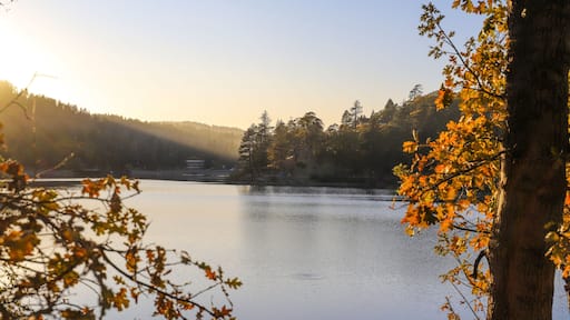 a stunning shot of an autumn landscape with trees reflecting off vast still blue lake waters with majestic mountain ranges at sunset at Lake Gregory in Crestline California