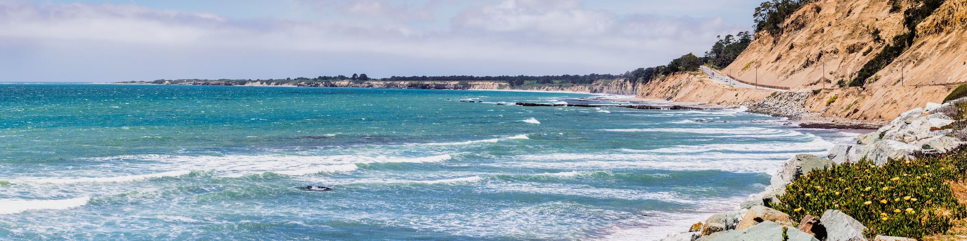 The dramatic Pacific Ocean coastline close to Santa Cruz, California; the scenic Highway 1 and eroded cliffs visible on the right