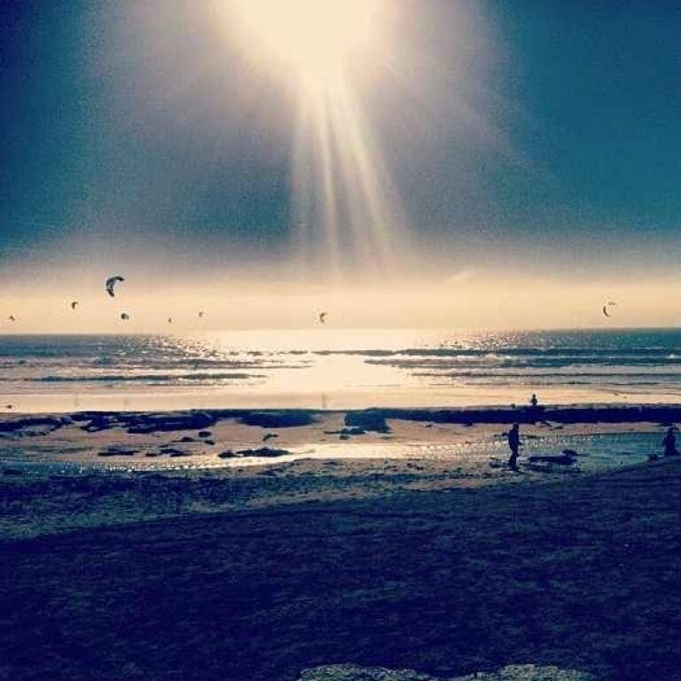 Driving up the coast I found Scott creek beach where hundreds of people go and fly all sorts of kites .