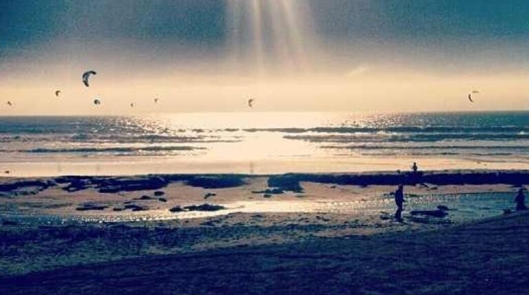 Driving up the coast I found Scott creek beach where hundreds of people go and fly all sorts of kites .
