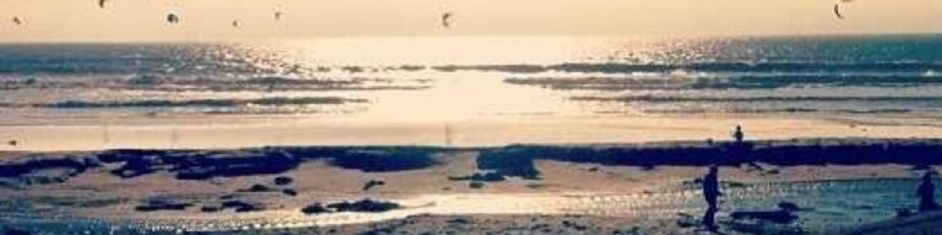 Driving up the coast I found Scott creek beach where hundreds of people go and fly all sorts of kites .