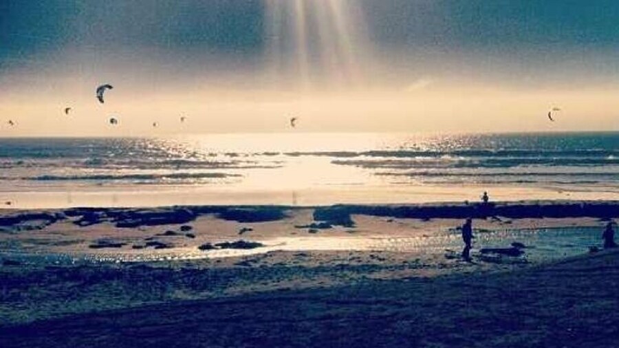 Driving up the coast I found Scott creek beach where hundreds of people go and fly all sorts of kites .